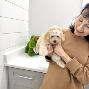 Angel - F Maltipoo Puppy - BPPP Litter --_