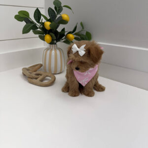 Ariel - F Maltipoo Puppy - BPPP Litter --_