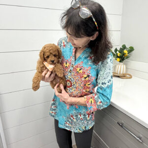 Bagel - FB Cavapoo Puppy - BPPP Litter --_