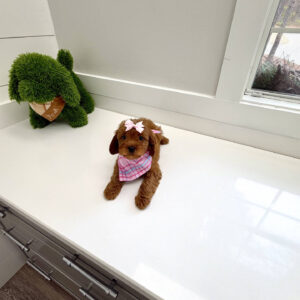 Barbie - F Cavapoo Puppy - BPPP Litter --_