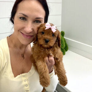 Barbie - F Cavapoo Puppy - BPPP Litter --_