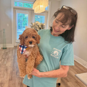 Beach - F Cavapoo Puppy - Litter --_