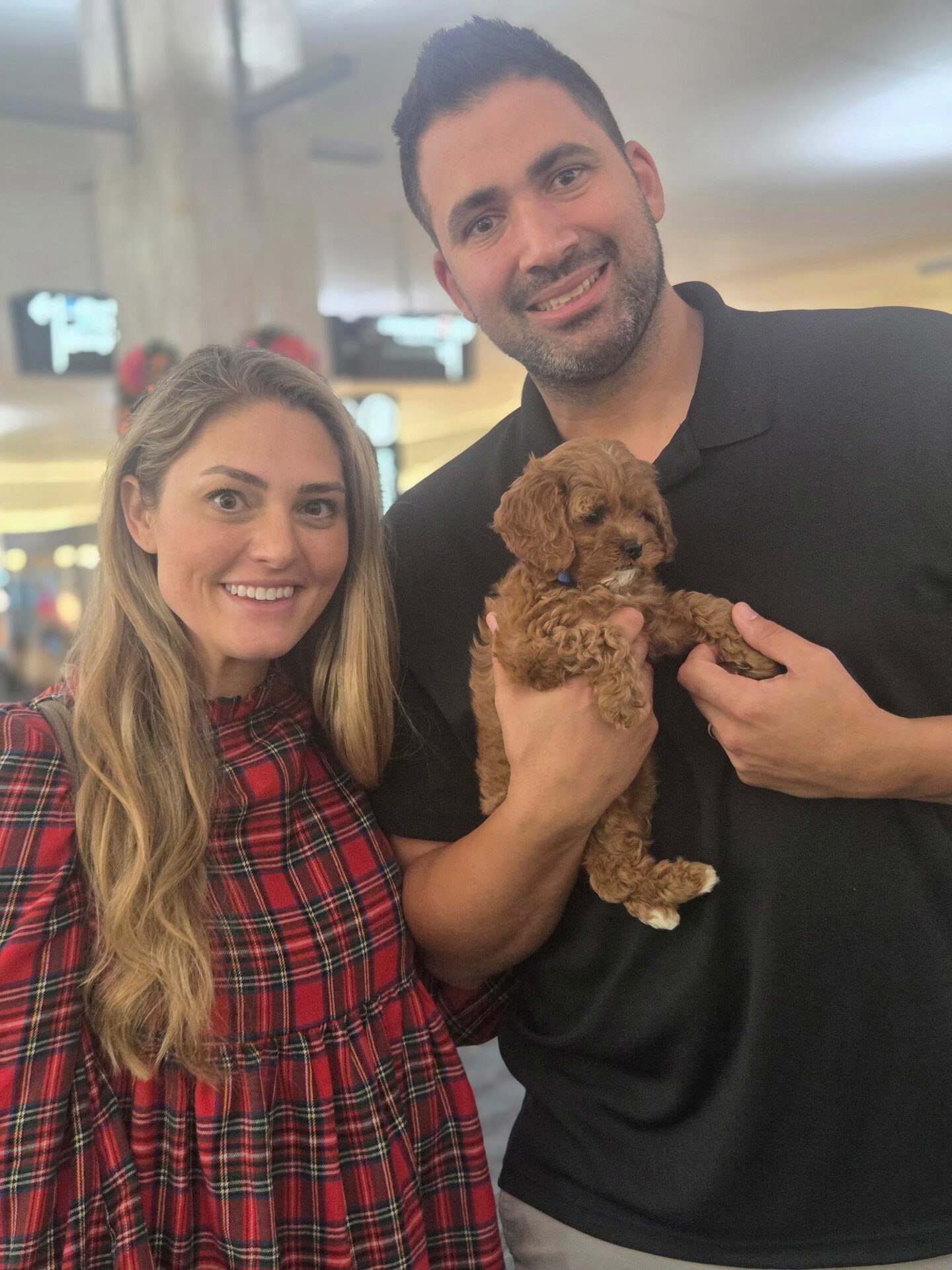 Blitzen - F Cavapoo Puppy - BPPP Litter --_Forever Home in Tampa FL_