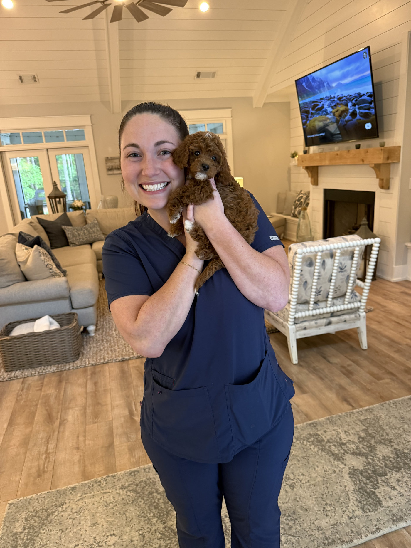 Blossom - CKC Toy Cavapoo - --_Forever Home in Mount Olive AL_