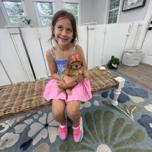 Bo Peep - F Cavapoo Puppy - Litter --_