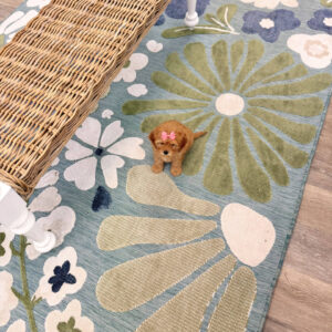 Bo Peep - F Cavapoo Puppy - Litter --_
