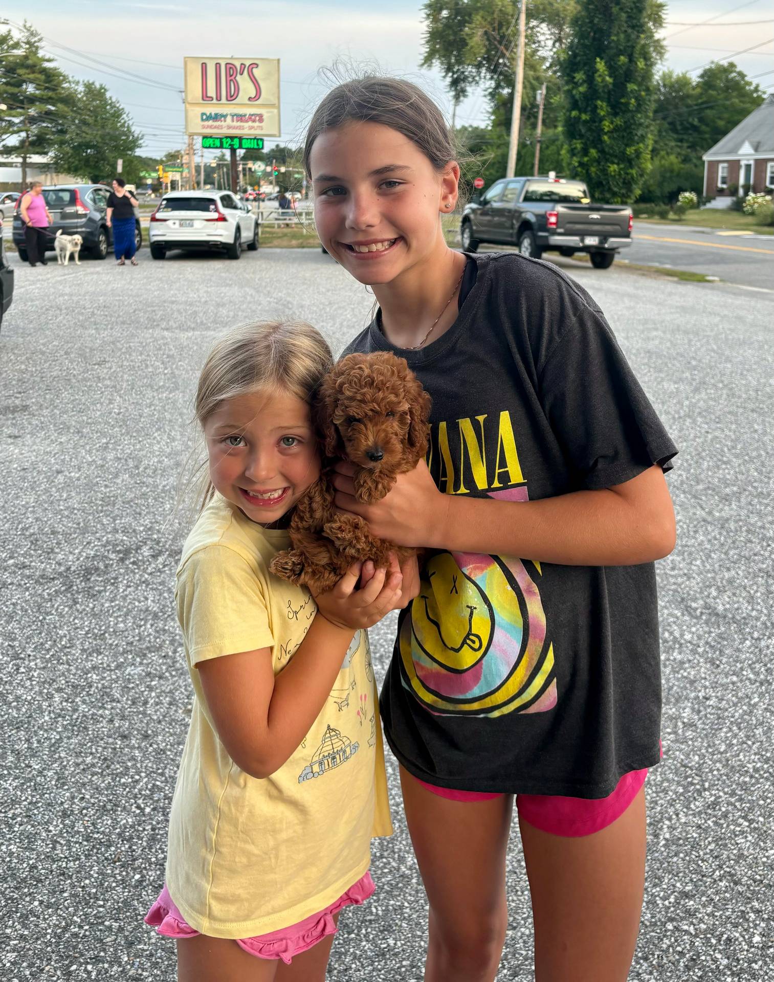 Capri - Red Female Toy Micro Goldendoodle - Forever Home with Ashley in Falmouth- ME_