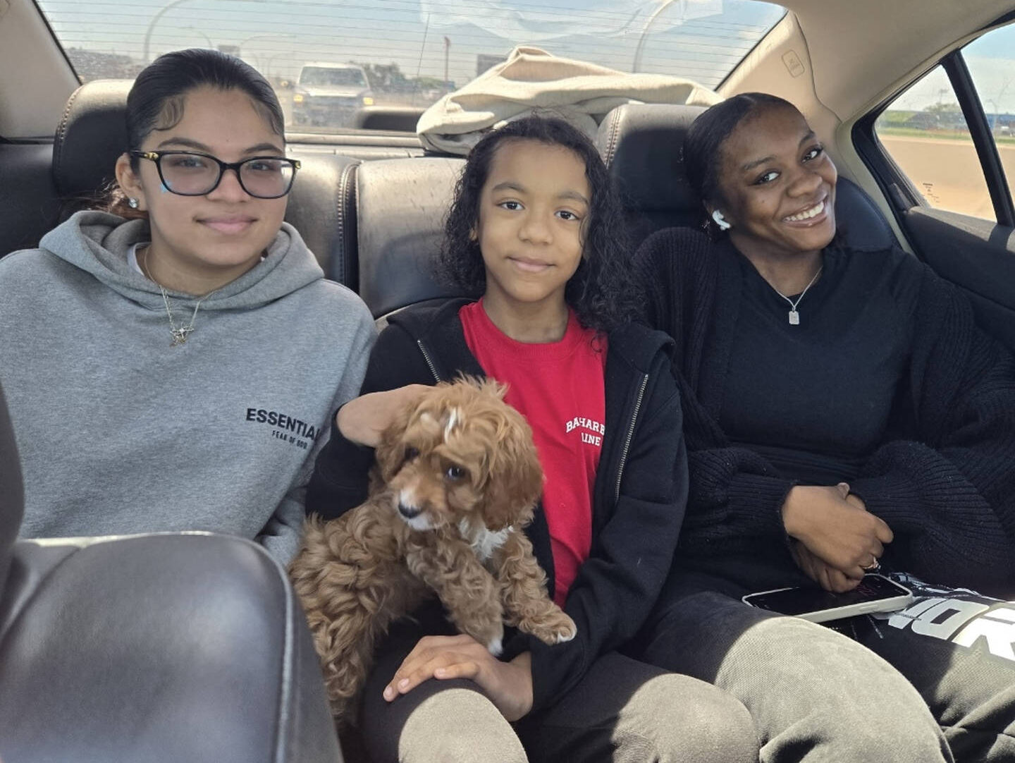Cove - F1 Cavapoo Puppy - Litter 3-8-25_Forever Home in Brooklyn, NY