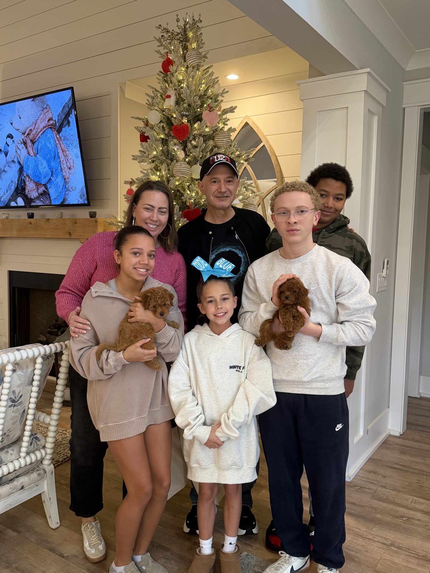 Cozy - CKC FBB Toy Micro Goldendoodle Puppy - -- Litter_Forever Home in Cumming- GA