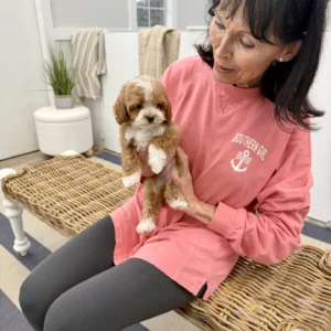 Daisy - FB Cavapoo Puppy - BPPP Litter --_