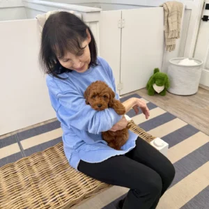 Diana - FB Cavapoo Puppy - BPPP Litter --_