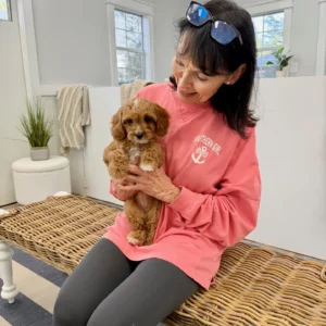 Ginger Spice - F Cavapoo Puppy - BPPP Litter --_