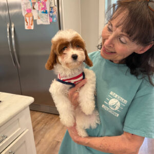 Glinda - F Cavapoo Puppy - Litter --_-