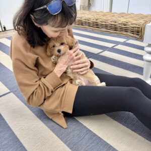 Gloria - F Maltipoo Puppy - BPPP Litter --_