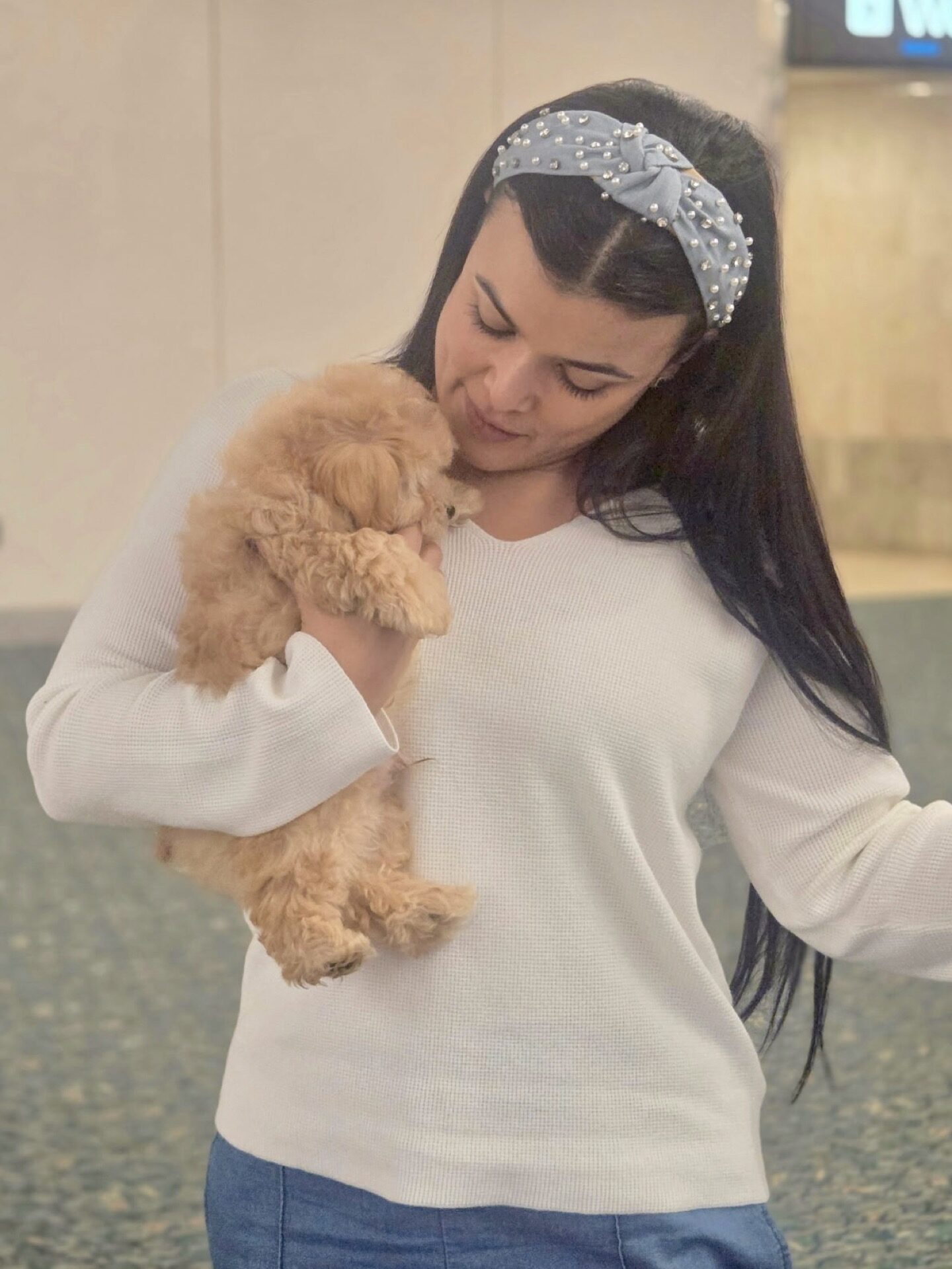 Glow - F Maltipoo Puppy - BPPP Litter --_