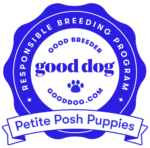 Good Dog Breeder Responsible Breeding Program Petite Posh Puppies logo500w