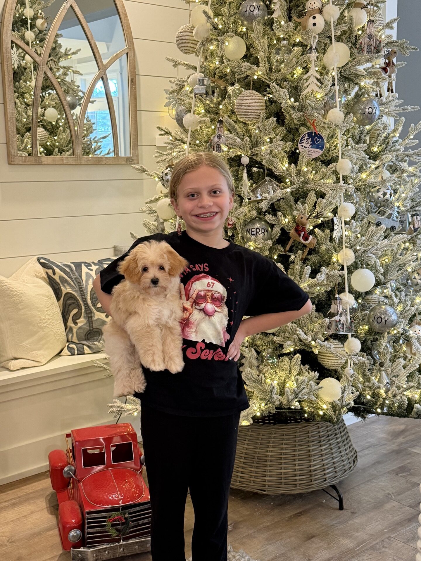 Jolly - F Maltipoo Puppy - BPPP Litter --_Forever Home in Milton GA_