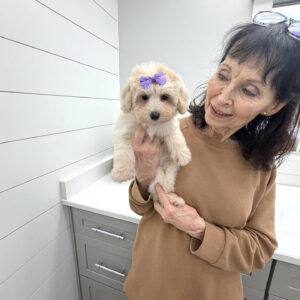 Joy - F Maltipoo Puppy - BPPP Litter --_