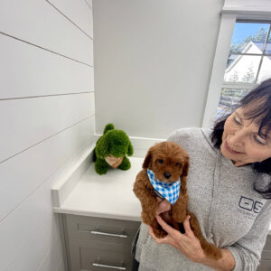 Ken - F Cavapoo Puppy - BPPP Litter --_