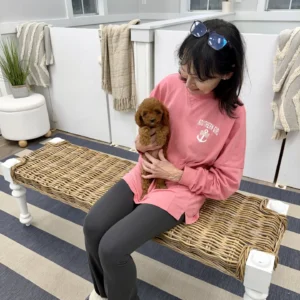 Lilac - FB Cavapoo Puppy - BPPP Litter --_