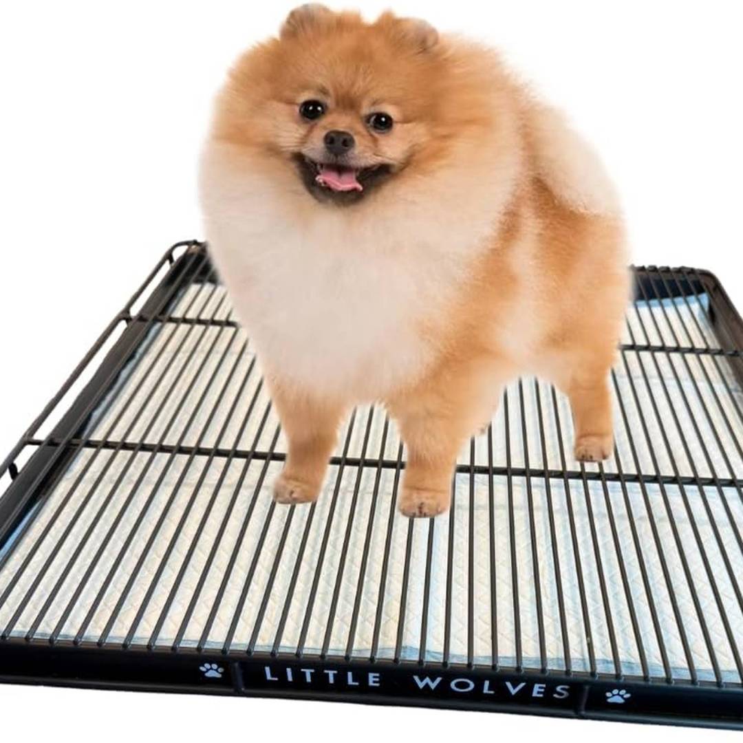 Little Wolves Puppy Potty Tray – x Shred-Proof Heavy-Duty Training Tray for Puppies