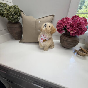 Lorelei - F Maltipoo Puppy - Litter --_
