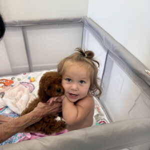 Malibu - CKC Toy Micro Goldendoodle Puppy - PPP Litter --_