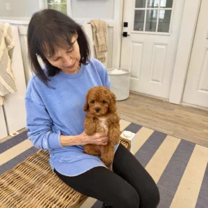 Meghan - FB Cavapoo Puppy - BPPP Litter --_