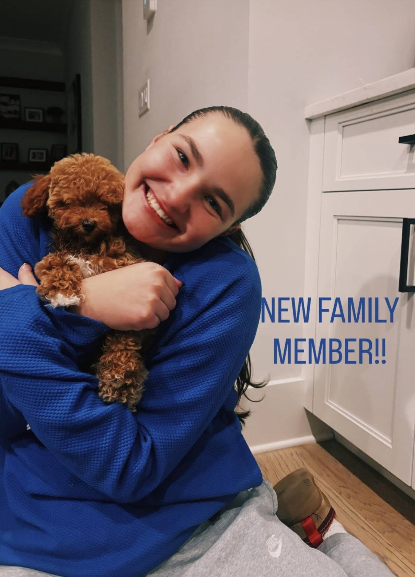 Merlot - Toy Mini Goldendoodle Puppy - PPP Litter --_Forever Home in Marietta- GA