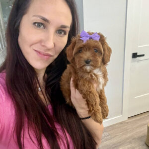 Mertle - FBB Cavapoo Puppy - BPPP Litter --_