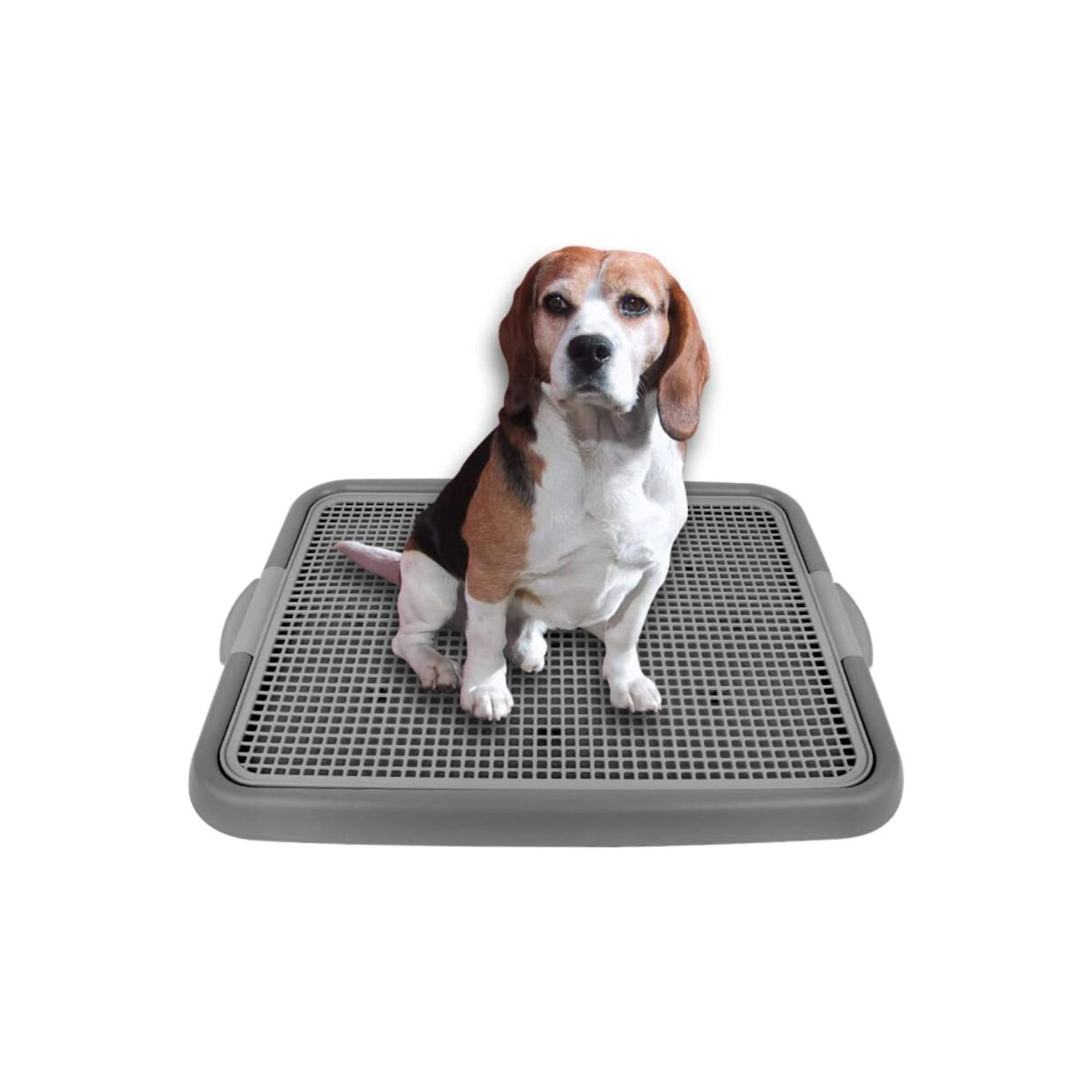 Mesh Training Toilet Potty Tray for Puppy and Small Size Dog x x inch (Gray+Gray)