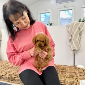 Mufasa - FB Cavapoo - BPPP Litter --_