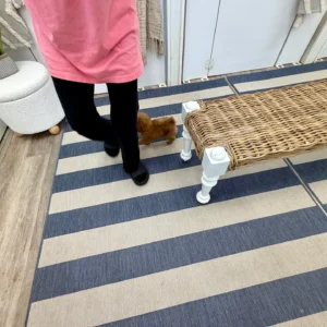 Mufasa - FB Cavapoo - BPPP Litter --_