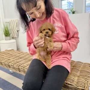 Nala - FB Cavapoo Puppy - BPPP Litter --_