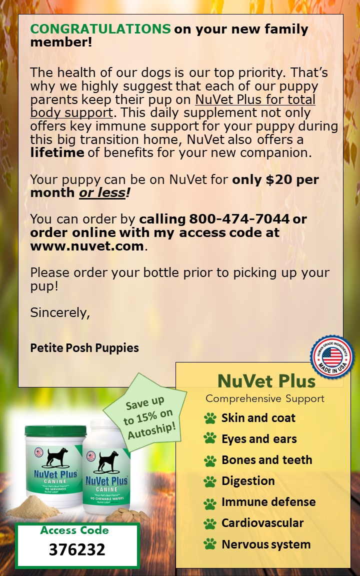 NuVet-at-Petite-Posh-Puppies