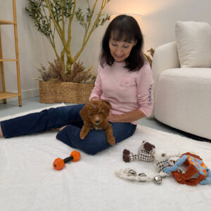 PJs - FBB Cavapoo Puppy - Litter --_