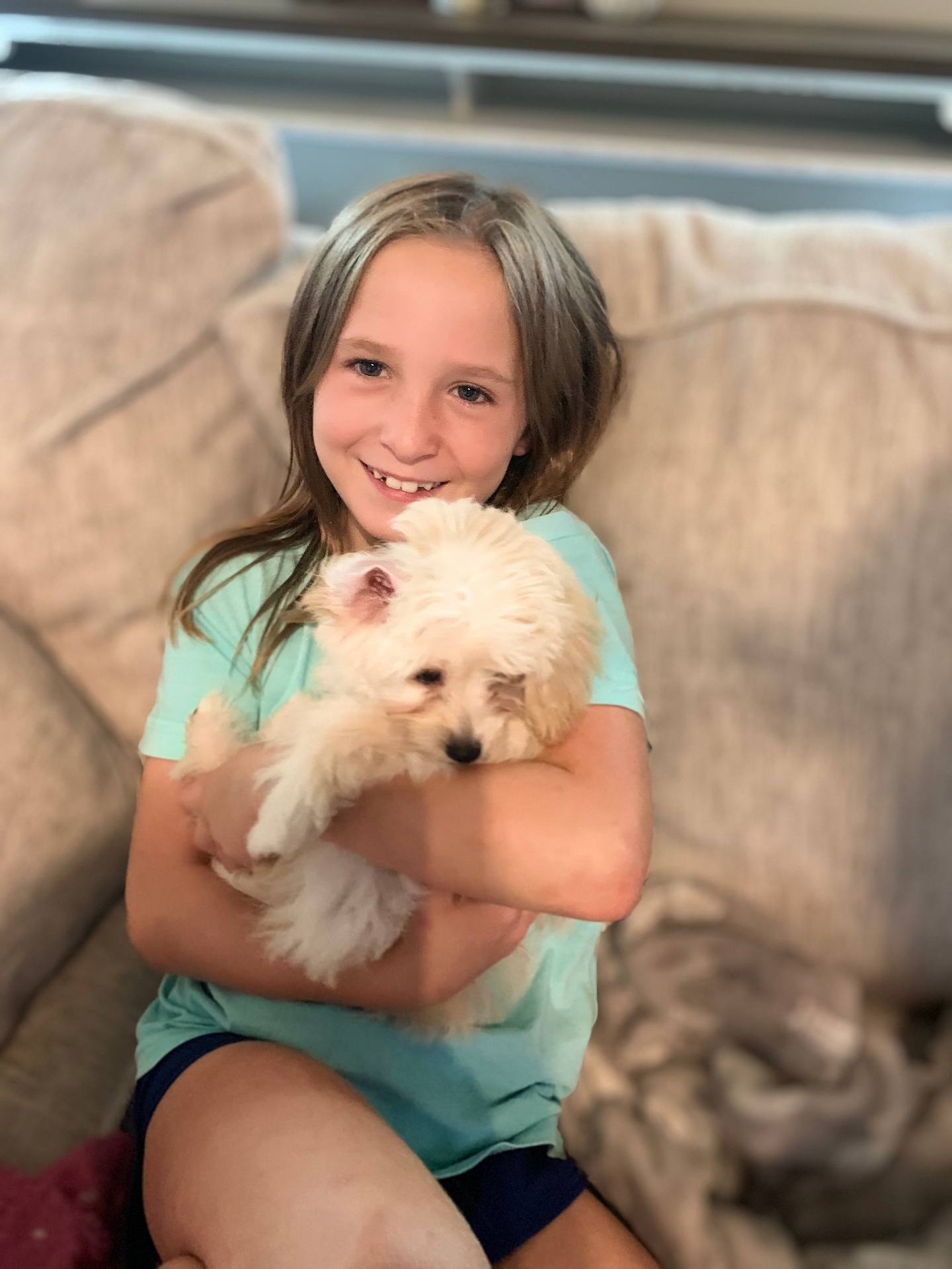 Past Puppies Petite Posh Puppies past-puppies-petite-posh-puppies