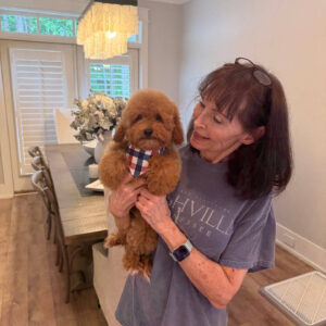 Paul - Toy Micro Goldendoodle Puppy - Litter --__