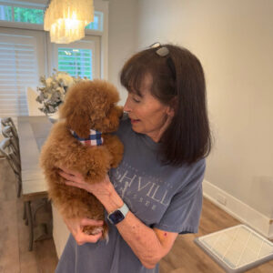 Paul - Toy Micro Goldendoodle Puppy - Litter --__