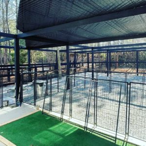 Petite Posh Puppies - Dog Breeding Facility in Atlanta Georgia (7)