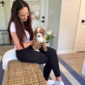 Pleakley - FBB Cavapoo Puppy - BPPP Litter --_