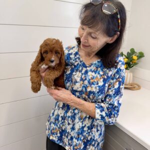Pua - F Cavapoo Puppy - BPPP Litter --_