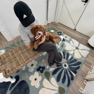 Pumba - FB Cavapoo Puppy - BPPP Litter --_v-