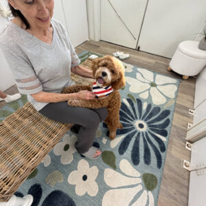Pumba - FB Cavapoo Puppy - BPPP Litter --_v-