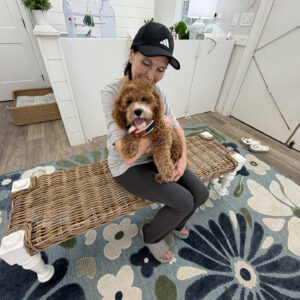 Pumba - FB Cavapoo Puppy - BPPP Litter --_v-