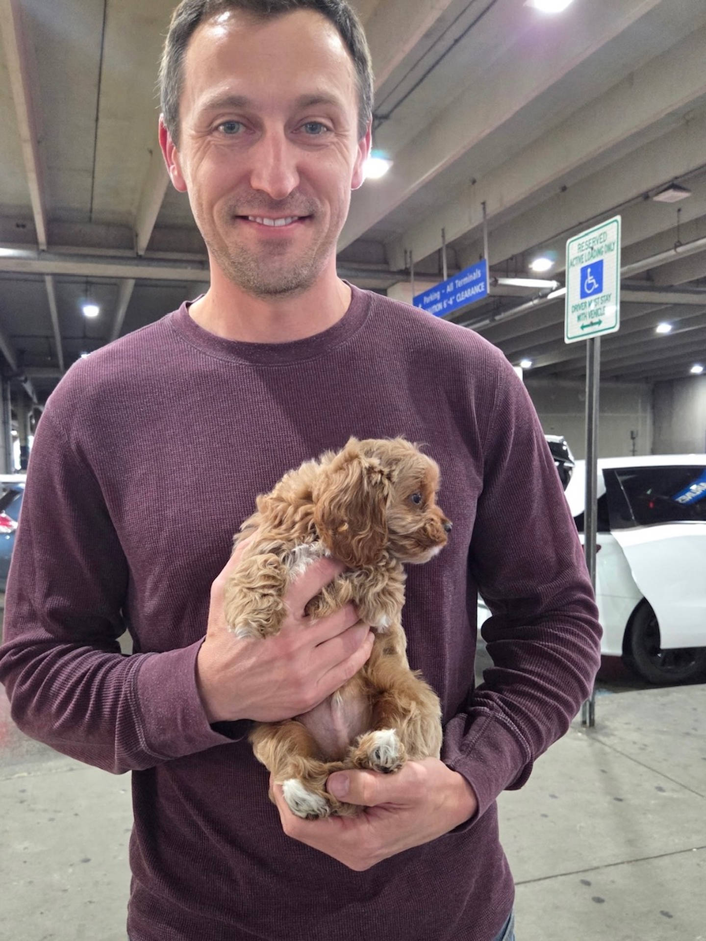 Reef - F Cavapoo Puppy - Litter --_Forever Home in Penn Valley- PA