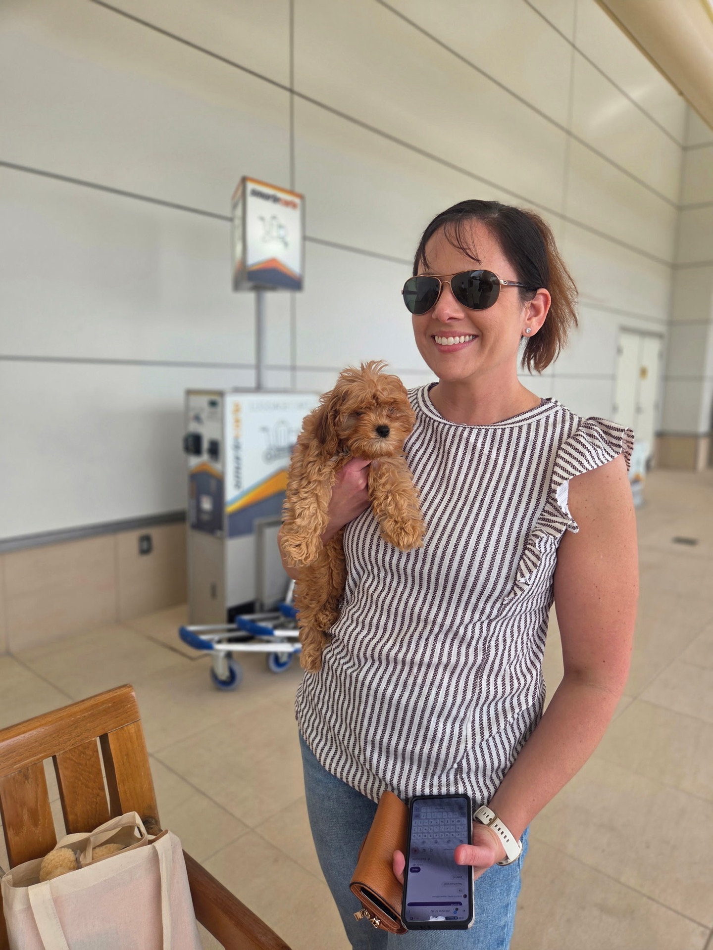 Rex - F Cavapoo Puppy - Litter -- - Forever Home in West Melbourne- FL