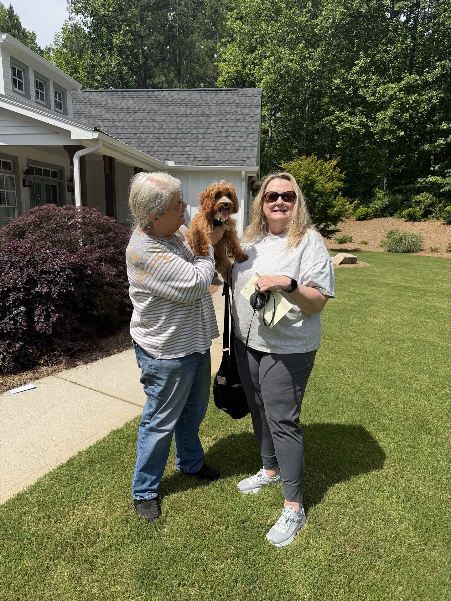 River - FBB Cavapoo Puppy - BPPP Litter -- - Forever Home in Woodstock- GA