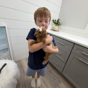 Sandy - FBB Toy Goldendoodle Puppy - BPPP Litter --_