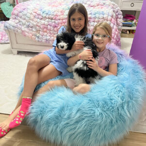 Sierra - Parti Colored Female CKC FB Mini Bernedoodle_Forever Home in Atlanta GA